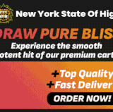 Banner 300x250 VAPE THC.gif