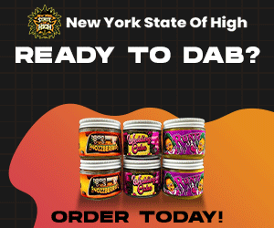 Banner 300x250 preroll Banner.gif