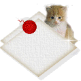 amigosblankbutton