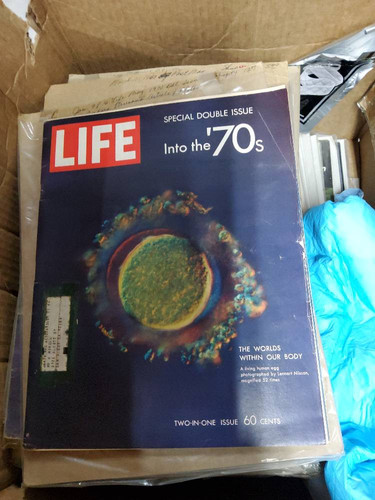 fe8ef30b0586.jpg