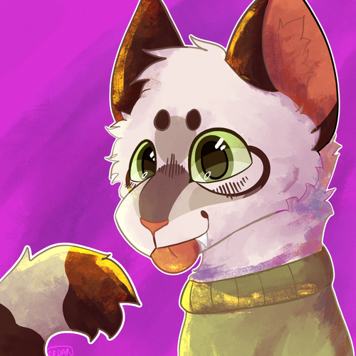 IMG 2556.png