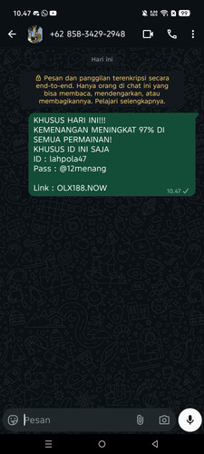 8103.jpg
