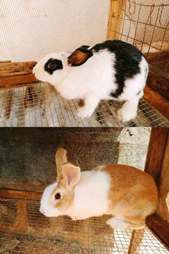 G5Nnh4ZXQAA1pX1.jpg