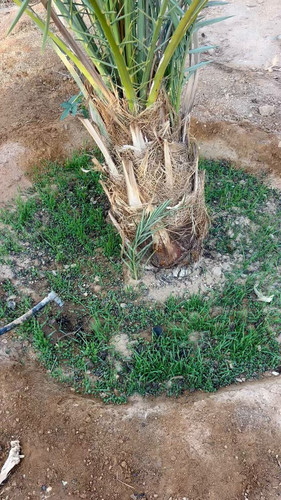 kKrPiy hMnHiKaGa.jpg