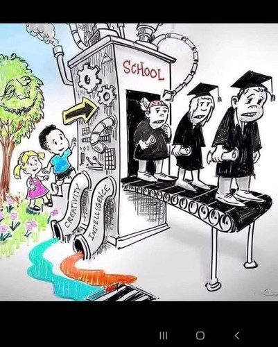 498678054 10063219587087958 4008357045180097063 n.jpg