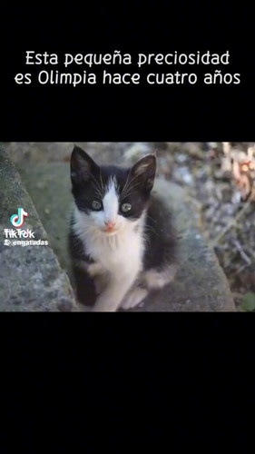 swfY5QIYYnGk dba.jpg