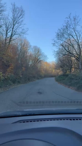 XJuhu4qF vi8v2YB.jpg