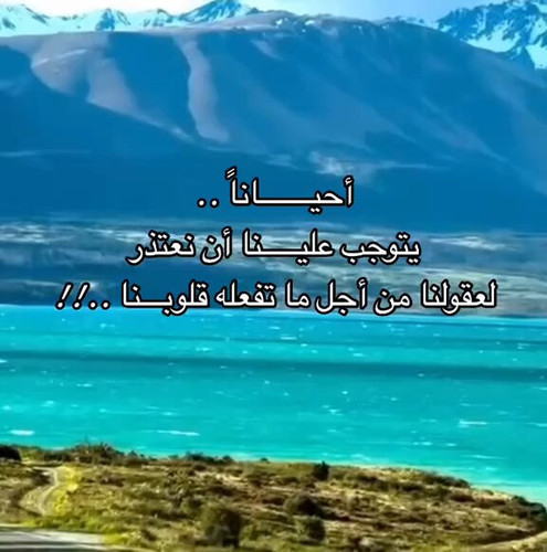 9kPIOZc7sQzR qr9.jpg