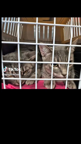 6tusMQNe OcEJJ38.jpg