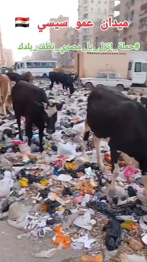 FlymeR h1NByqW3m.jpg