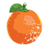 FruitOrange 2
