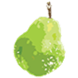 FruitsPear 2