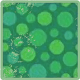 GrassCircle