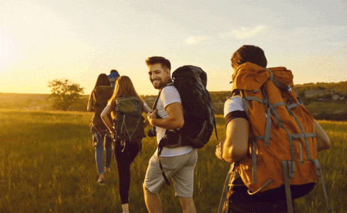 ACTIVITY INTERNATIONAL.gif
