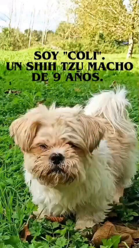 C0NctCn2orAa vzB.jpg