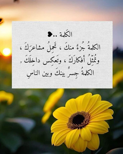 G5QdmScbIAk8OA7.1