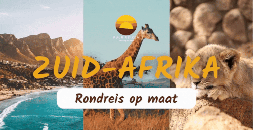 AFRIKA REIS OP MAAT.gif