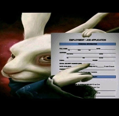 302947c1 eeee 40d3 92d4 abe4014fca70.jpg