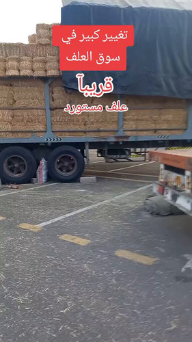 qVzKEPqaIaDW sHc.jpg