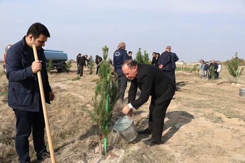 579262906 825444100241580 2650827188393010157 n.jpg?stp=dst jpg s590x590 tt6& nc cat=110&ccb=1 7& nc.jpg