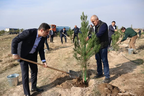 577703077 825444066908250 1735989453657361784 n.jpg?stp=dst jpg s590x590 tt6& nc cat=105&ccb=1 7& nc.jpg