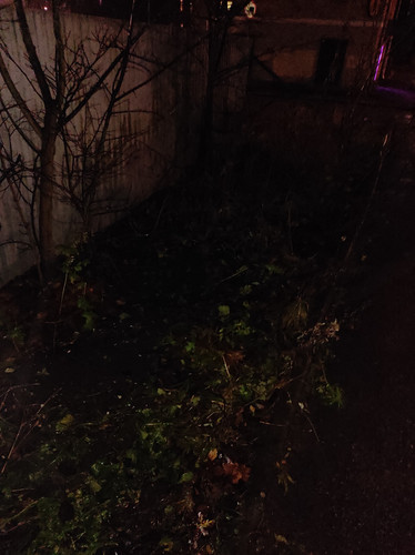 IMG 20251108 214940.jpg