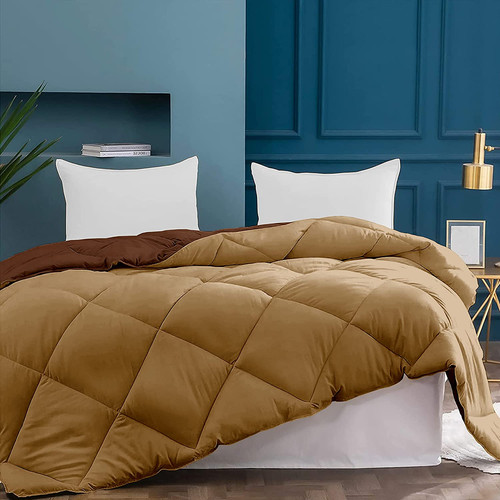 Beige Chocolate1.jpg