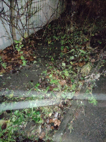 IMG 20251108 214954.jpg