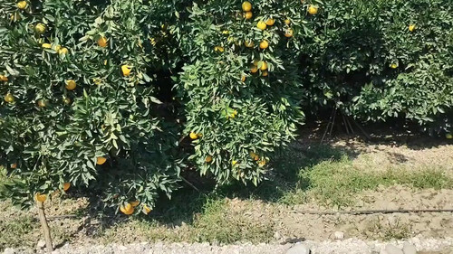 P Fblc1 x vVGNDE.jpg