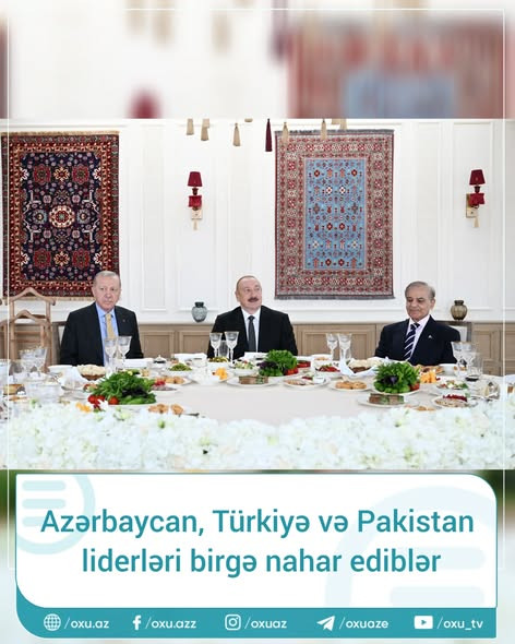 574843460 18541987516031353 8665902302806376476 n.webp?stp=dst jpg s590x590 tt6& nc cat=107&ccb=1 7&.jpg