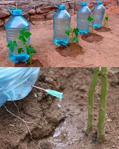 G5PtNGTXAAAPUaX.jpg