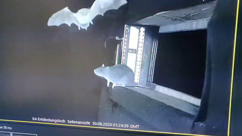 l K7zoIzuneSg6D6.jpg