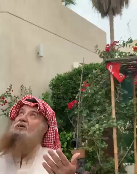 X3Qrz NSdAvriqM0.jpg