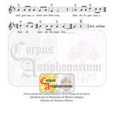 TOLetránIntro efo p3