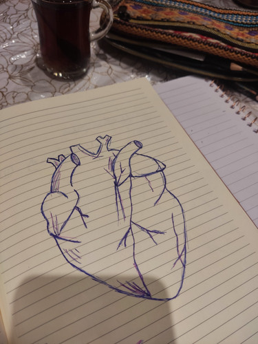 IMG ٢٠٢٥١١٠٨ ١٩٣٠٥٧~2.jpg