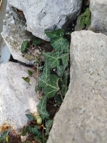 IMG 20251108 195139 187.jpg