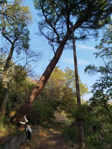 IMG 20251108 195153 884.jpg