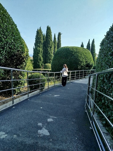 IMG 20251108 195211 262.jpg