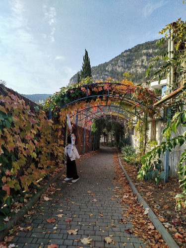 IMG 20251108 194835 029.jpg