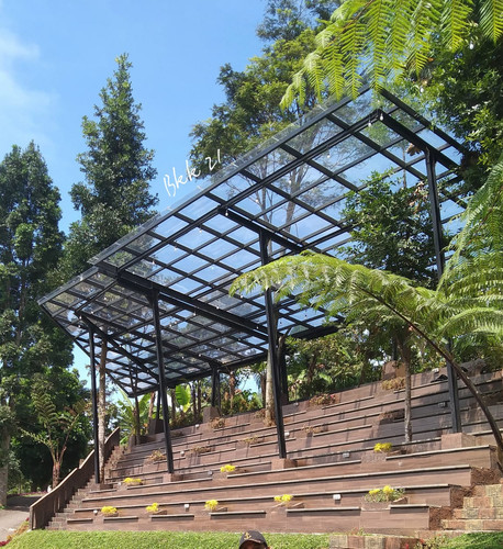 IMG 20251012 WA0034.jpg