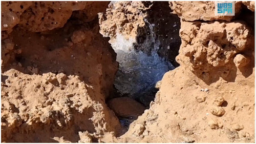 gQ4J83pe7 BADIbs.jpg