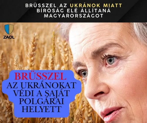 573604112 1252405546920384 1342351298160774161 n.jpg?stp=dst jpg s600x600 tt6& nc cat=104&ccb=1 7& n.jpg