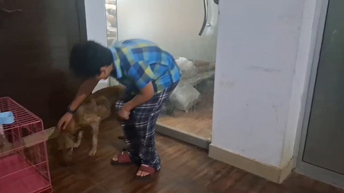 uKJtdaIj BfFdd2U.jpg