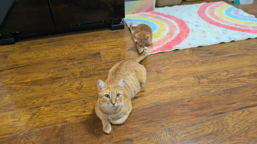 L08 Crrz M78xsA1.jpg