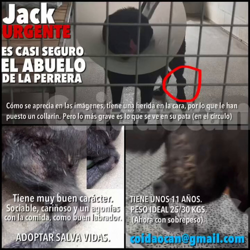 nUiV0mU2XMxVn jV.jpg