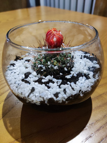 WhatsApp Image 2025 11 08 at 19.39.02.jpg