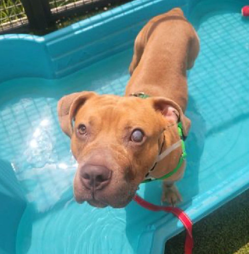 G4l EPTWIAAtgtb?format=jpg.jpg