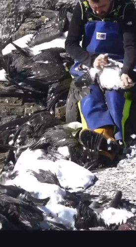 yiC9Pbz jVQVLVB0.jpg