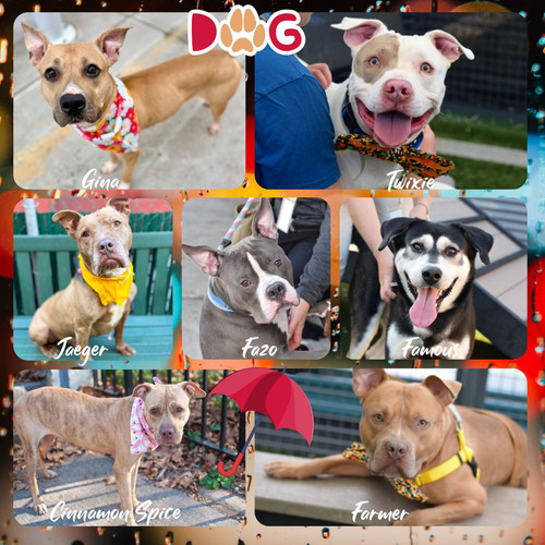 G48z1 kbMAAHzjQ?format=jpg.jpg