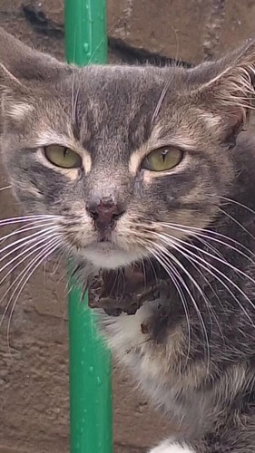 iLgvldvbIKnp bTA.jpg